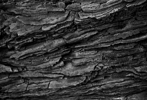 Wood - 578